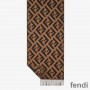 Fendi FF Scarf In Cashmere Brown